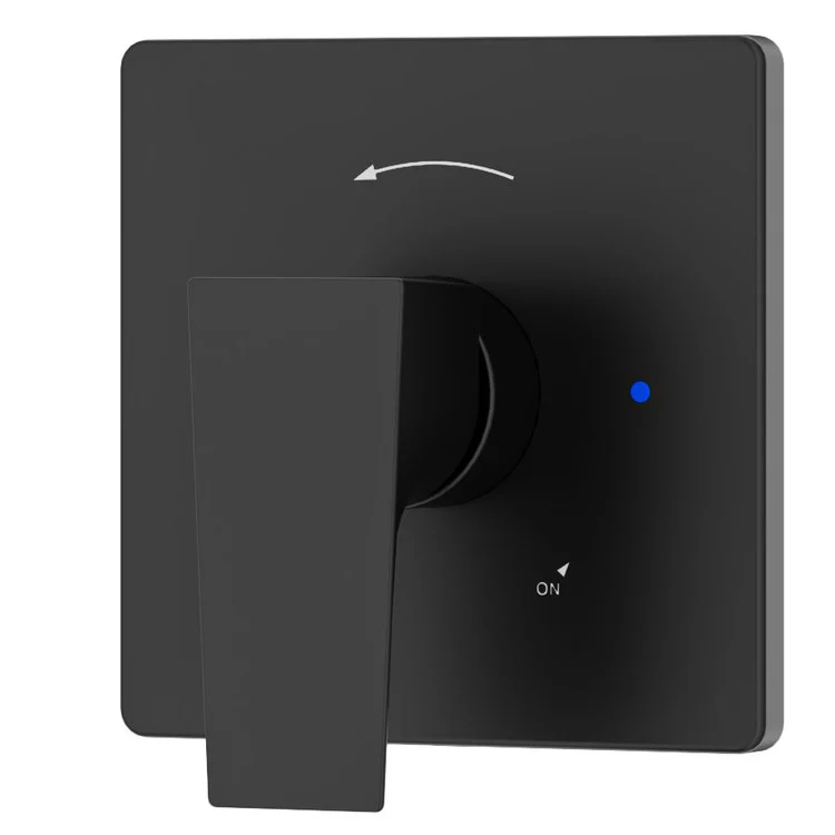 Shower Valve Trim Verity Satin Nickel ADA - Frankwebs