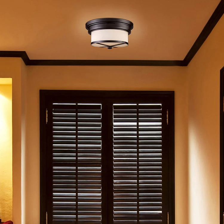 Flush Mounts Two-Light LED Flush Mount Ceiling Fixture - Frankwebs