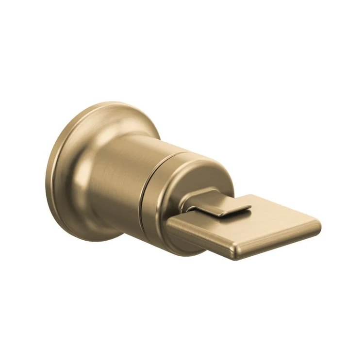 Handle Kit Allaria Zinc 2 Knob Polished Chrome / Clear Acrylic ADA for Wall Mount Lavatory - Frankwebs