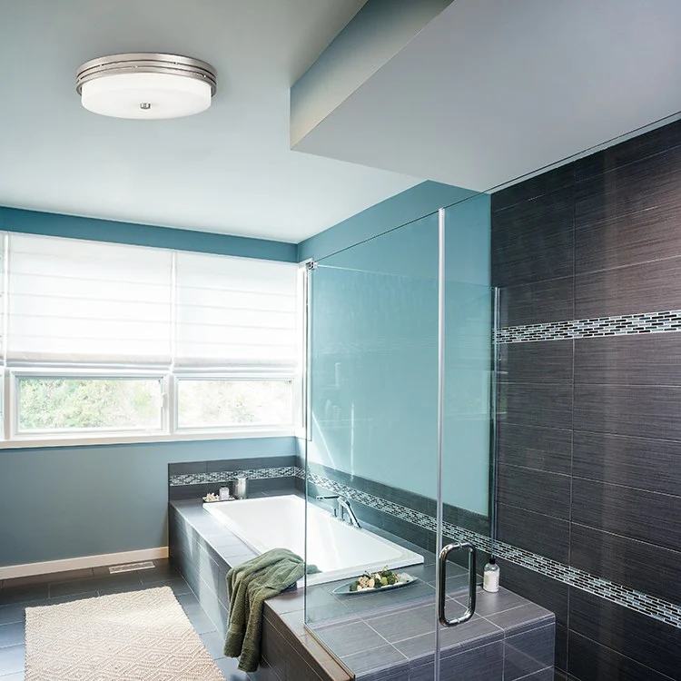 Ceiling Space Single-Light LED Flush Mount Ceiling Fixture - Frankwebs