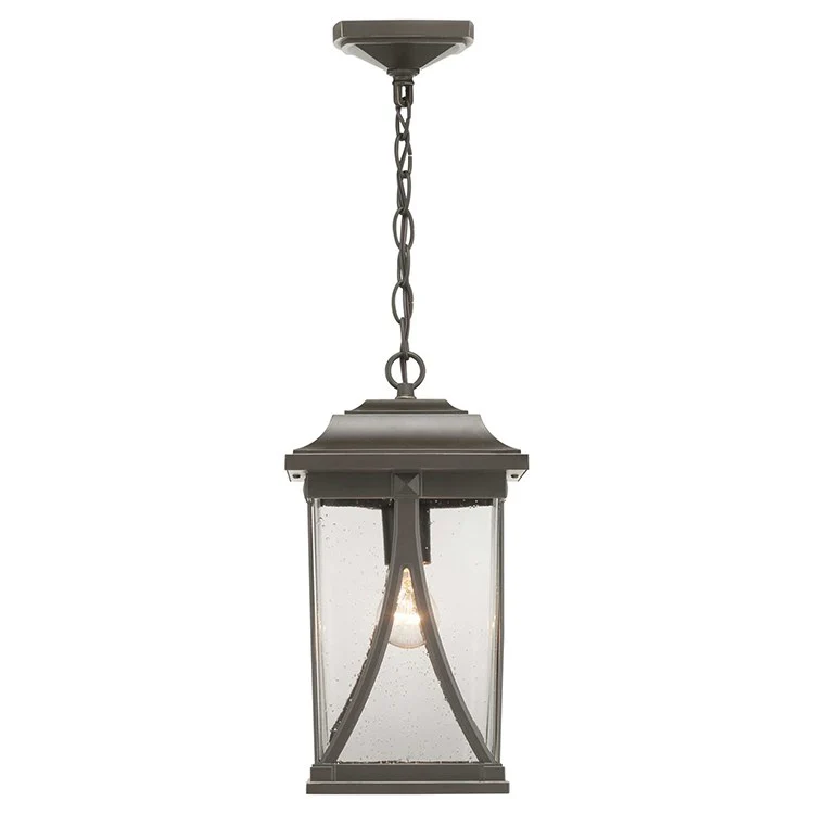 Abbott Single-Light Outdoor Hanging Lantern - Frankwebs