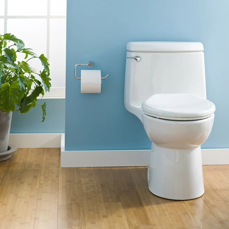 Champion 4 Elongated One-Piece Toilet with Slow-Close Seat - Frankwebs