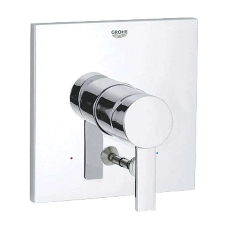 Allure Pressure Balance Valve Shower Trim with Diverter - Frankwebs