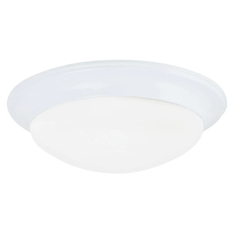 Nash Two-Light Flush Mount Ceiling Fixture - Frankwebs