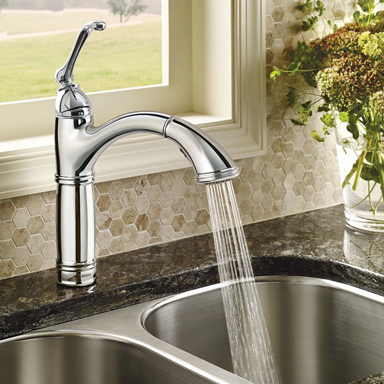 Brantford Single Handle High-Arc Pull Out Kitchen Faucet - Frankwebs