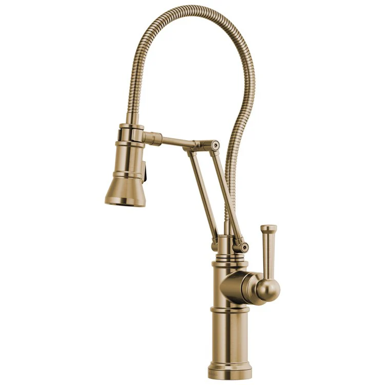Kitchen Faucet Artesso with Finished Hose 1 Lever ADA Matte Black Pull Down 2 Function Handspray 1.8 Gallons per Minute - Frankwebs