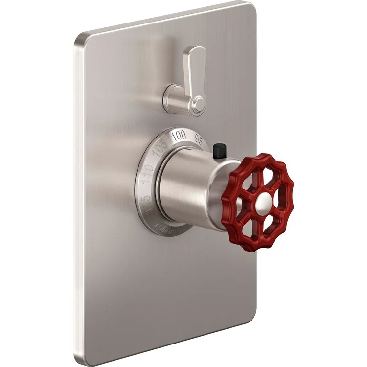 Thermostatic Trim Descanso Works Rectangular StyleTherm with Volume Control 2 Red Wheel/Lever Matte Black Brass - Frankwebs