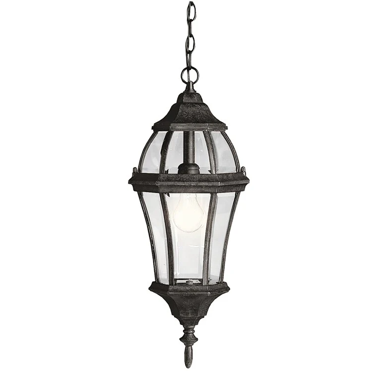 Townhouse Single-Light Outdoor Hanging Lantern - Frankwebs