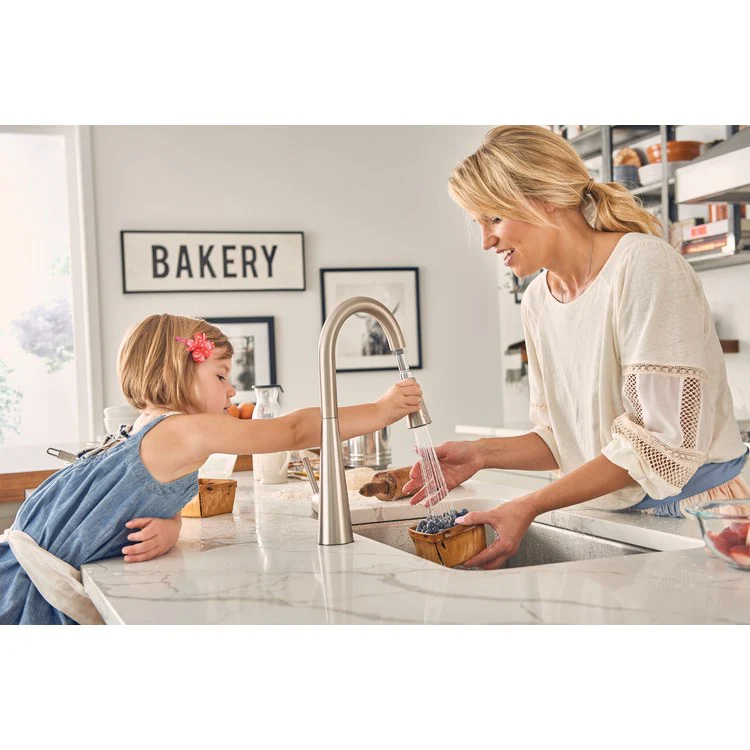 Kitchen Faucet Sleek 1 Lever ADA Spot Resist Stainless High Arc 1/3 Hole 1.5 Gallons per Minute - Frankwebs