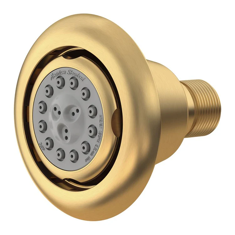 Body Spray Extender Brushed Cool Sunrise Flushmount Round 3 Function Full Spray/Combination Spray/Massage Spray 1.5 Gallons per Minute 1/2IN NPT - Frankwebs