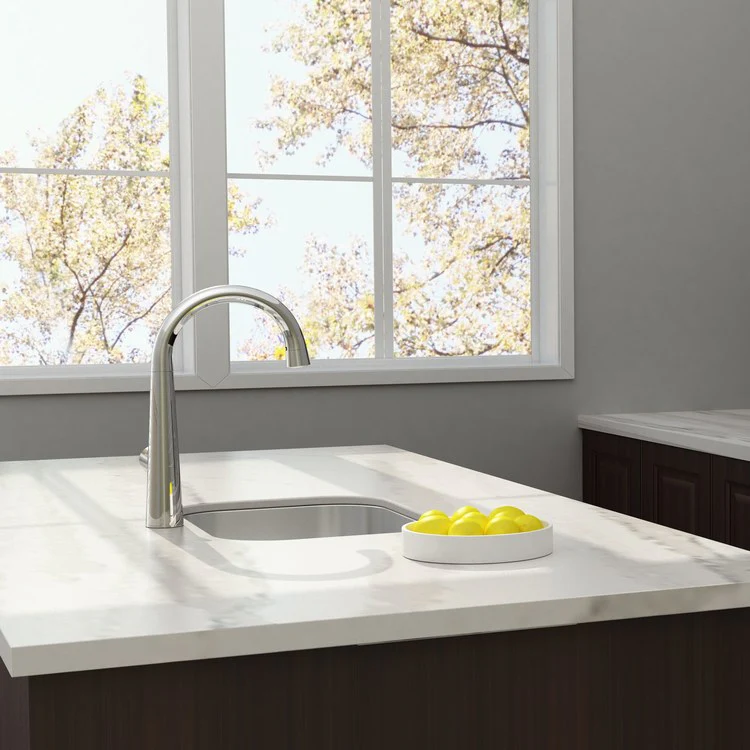 Edgewater SelectFlo Single Handle Pull Down Kitchen Faucet - Frankwebs
