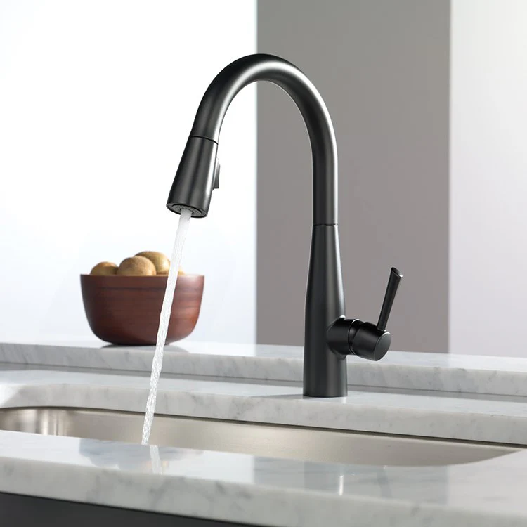 Essa Single Handle Pull Down Kitchen Faucet - Frankwebs