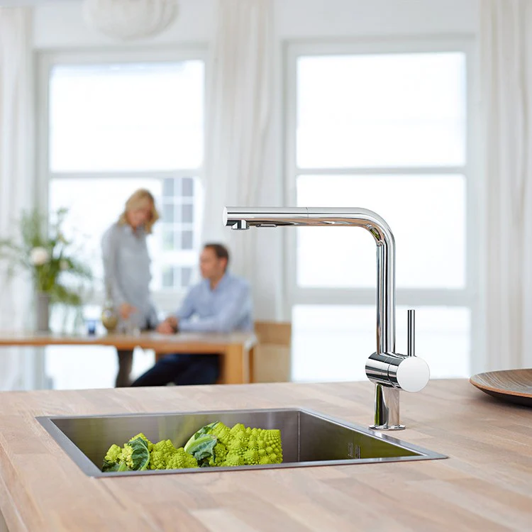 Minta Single Handle Pull-Out Kitchen Faucet - Frankwebs