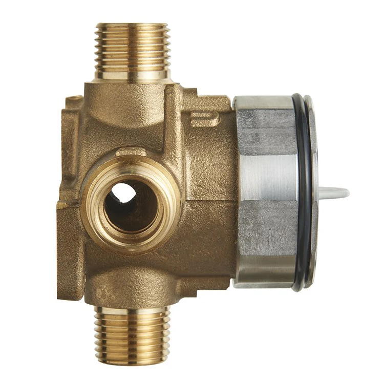 Flash Shower Rough-in Valve with Universal Inlets and Outlets - Frankwebs