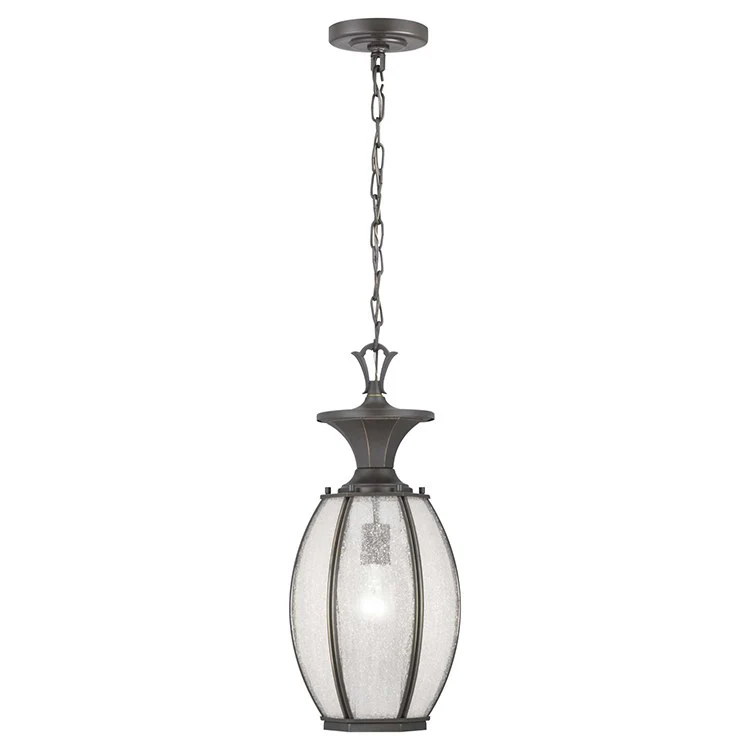 River Place Single-Light Outdoor Hanging Lantern - Frankwebs