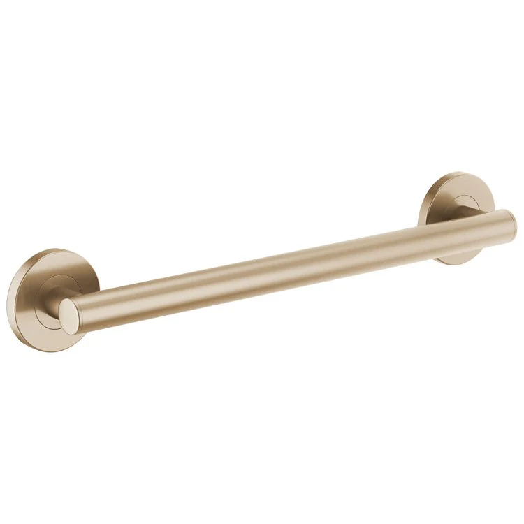 Grab Bar 18 Inch European Round Brilliance Luxe Steel ADA Concealed Mount Metal - Frankwebs