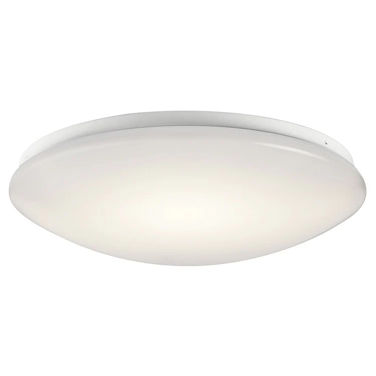 Ceiling Space Single-Light LED Flush Mount Ceiling Fixture - Frankwebs