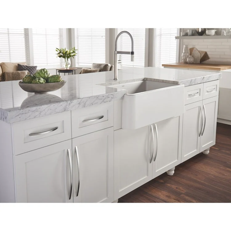 Pull Stainless Steel Iola D Polished Stainless Steel Stainless Steel 6-1/3 Inch 7-1/2 x 3/8 x 1-1/4 Inch - Frankwebs