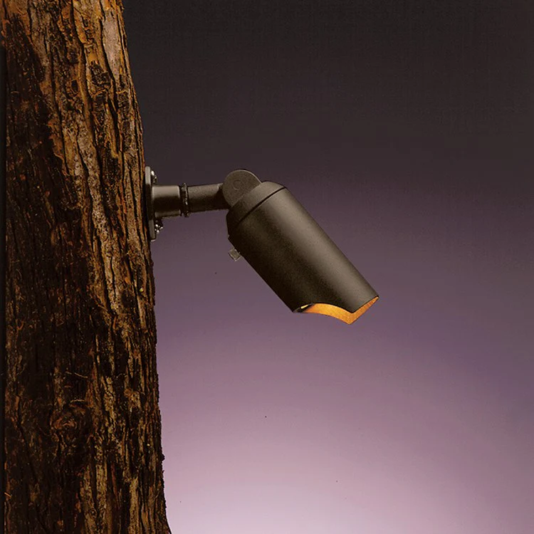 Single-Light 12-Volt Tree/Surface Mount Landscape Accent Downlight - Frankwebs