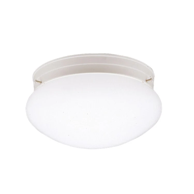 Ceiling Space Single-Light Flush Mount Ceiling Fixture - Frankwebs