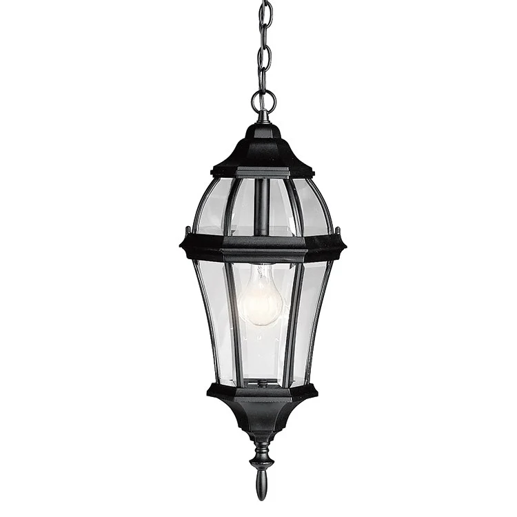 Townhouse Single-Light Outdoor Hanging Lantern - Frankwebs