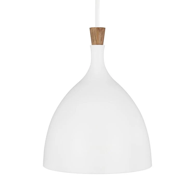 Darwin Single-Light Medium Pendant by Ellen - Frankwebs