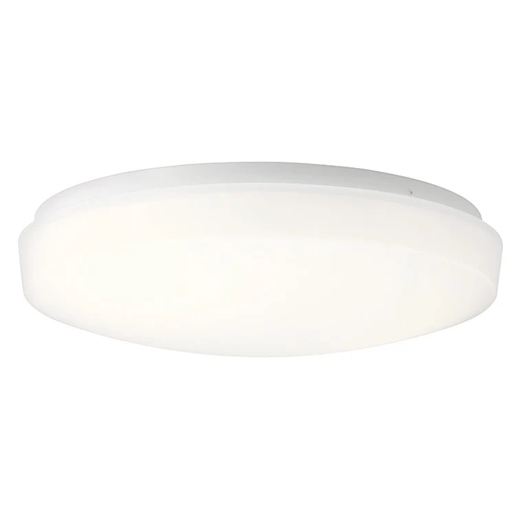Ceiling Space Single-Light LED Flush Mount Ceiling Fixture - Frankwebs