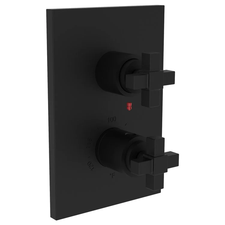 Thermostatic Trim Malvina Rectangular Plate 2 Cross Flat Black ADA for Luxtherm 1/2 Inch Rough Valve Face Plate Diverter and Temperature-Adjust Handles Brass - Frankwebs