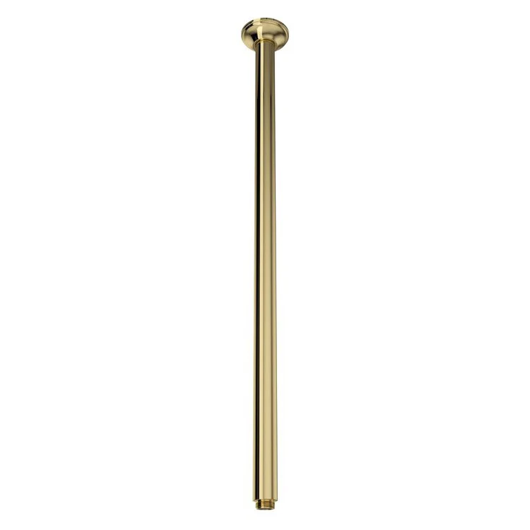Shower Arm Unlacquered Brass 24 Inch Brass Ceiling Mount - Frankwebs