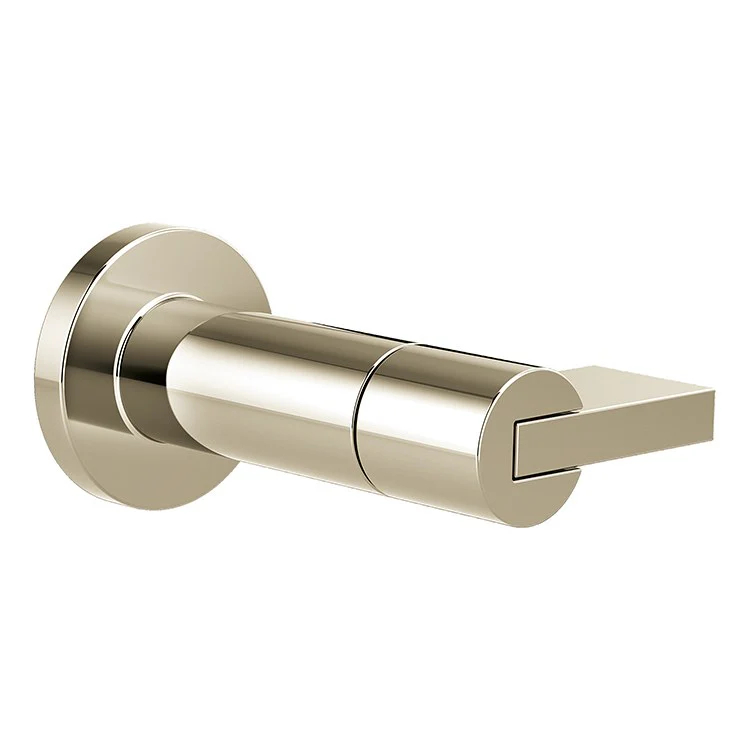 Litze Sensori Volume Control Trim with Lever Handle - Frankwebs