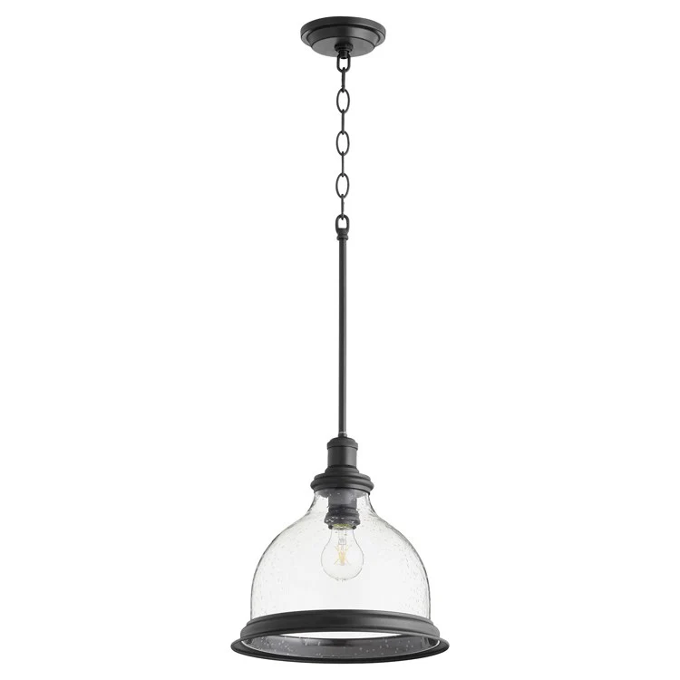 Single-Light Pendant with Clear Seeded Glass Shade - Frankwebs
