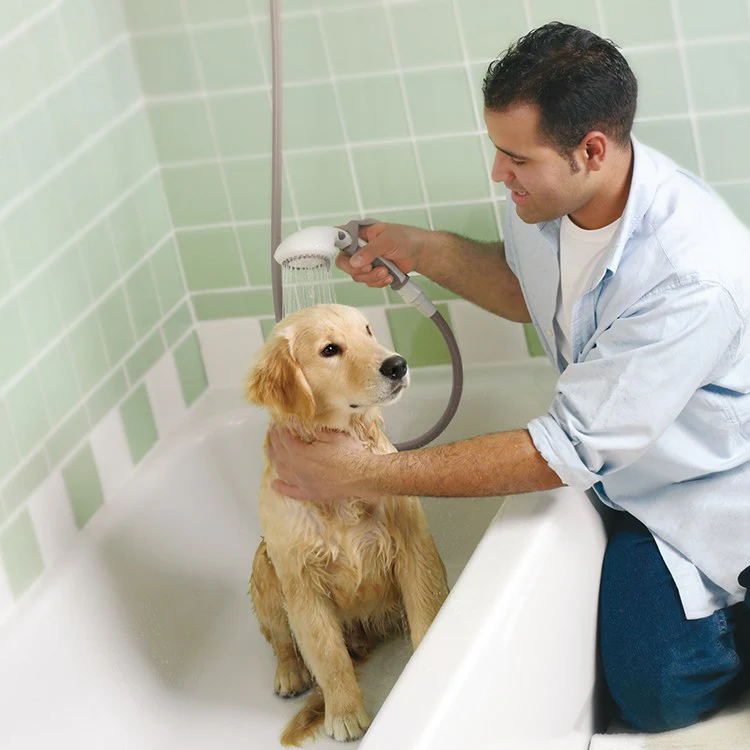 Home Care Four-Function Handshower with Soft Grip Handle/Safety Strap - Frankwebs