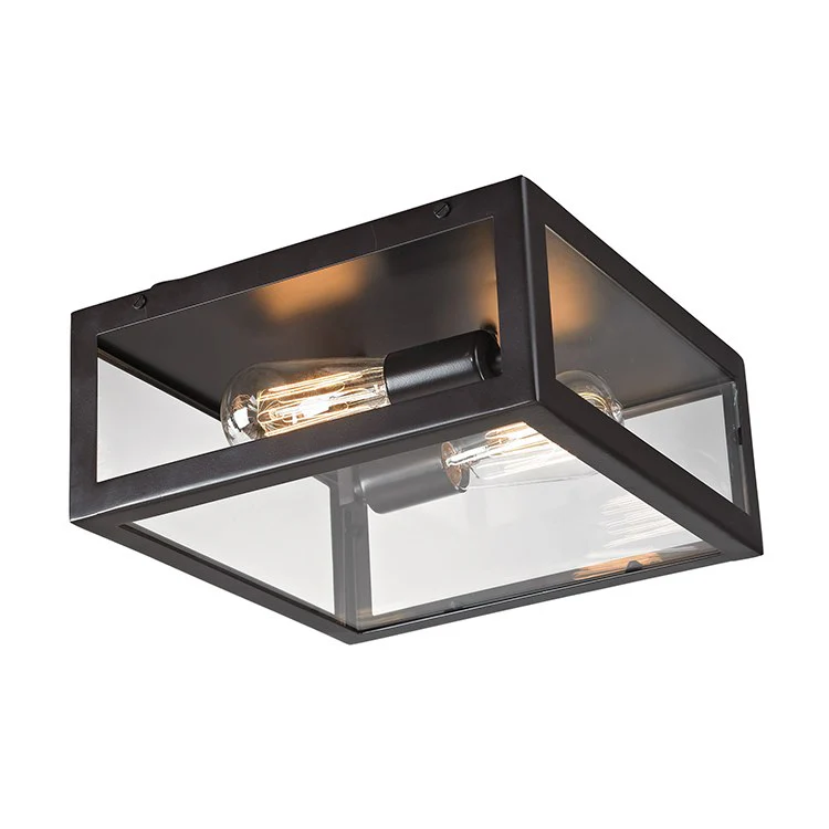Parameters Two-Light Flush Mount Ceiling Fixture - Frankwebs
