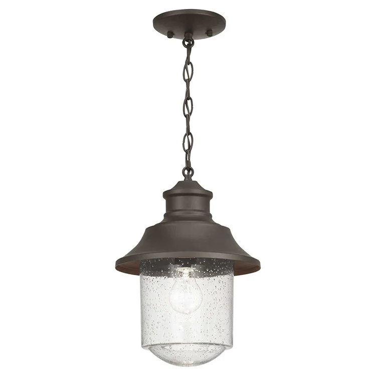 Weldon Single-Light Outdoor Hanging Lantern - Frankwebs