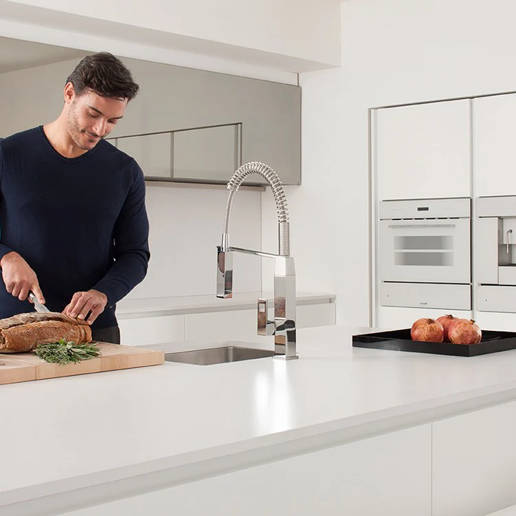 Eurocube Professional Single Handle Pull-Down Kitchen Faucet - Frankwebs