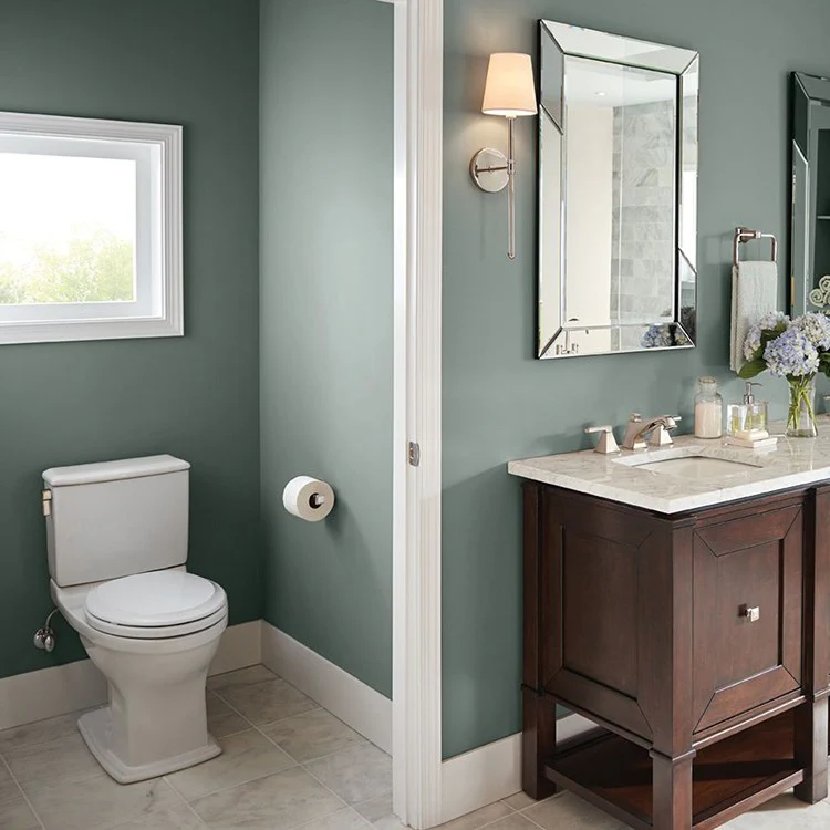 Connelly Close Coupled Elongated Toilet Bowl Only - Frankwebs