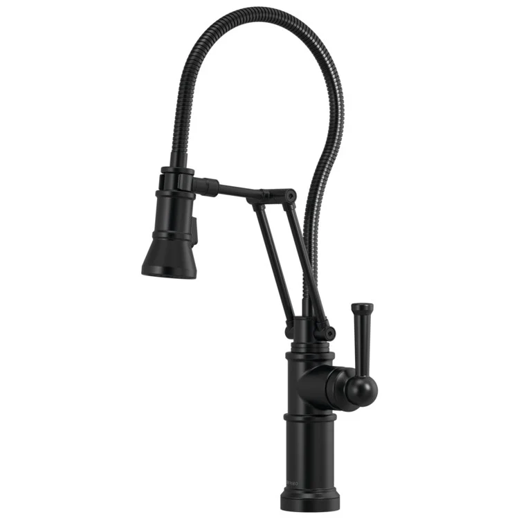 Kitchen Faucet Artesso with Finished Hose 1 Lever ADA Matte Black Pull Down 2 Function Handspray 1.8 Gallons per Minute - Frankwebs