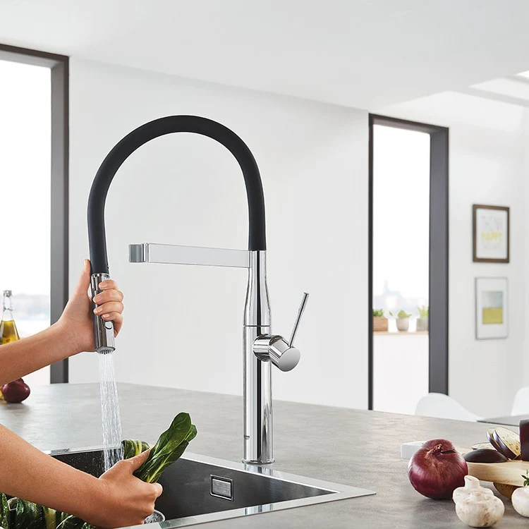Essence Single Handle Profession Pull-Down Kitchen Faucet - Frankwebs