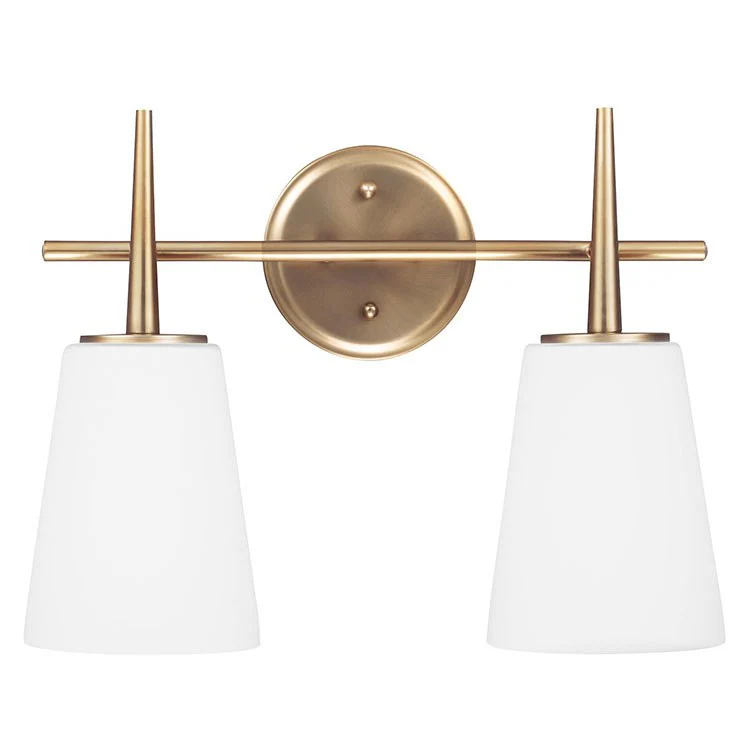 Driscoll Two-Light LED Bathroom Vanity Fixture - Frankwebs