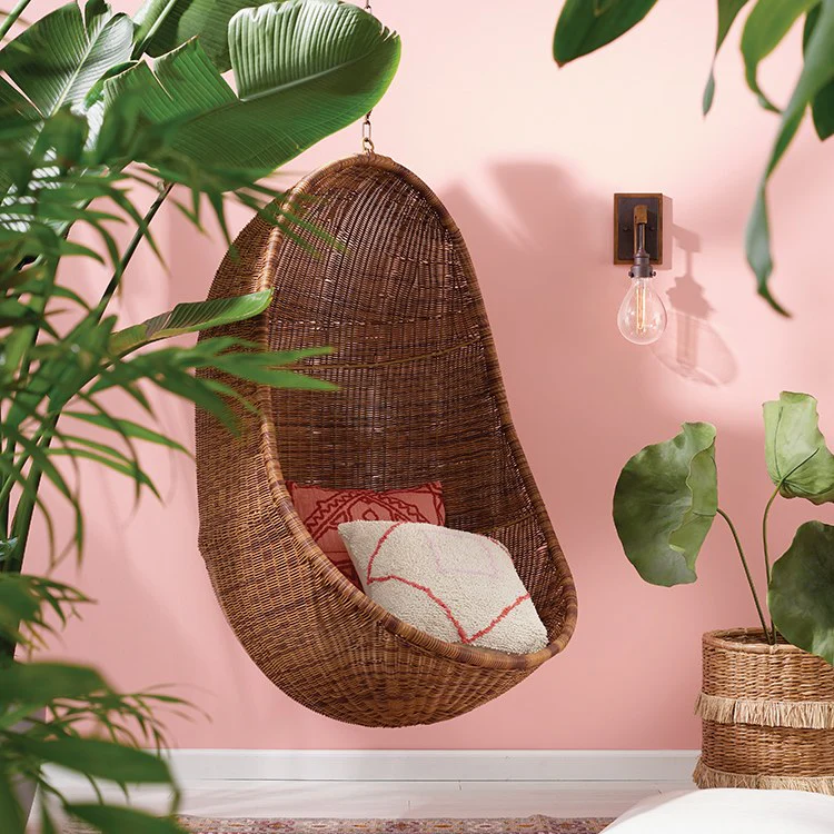 Denton Single-Light Wall Sconce - Frankwebs