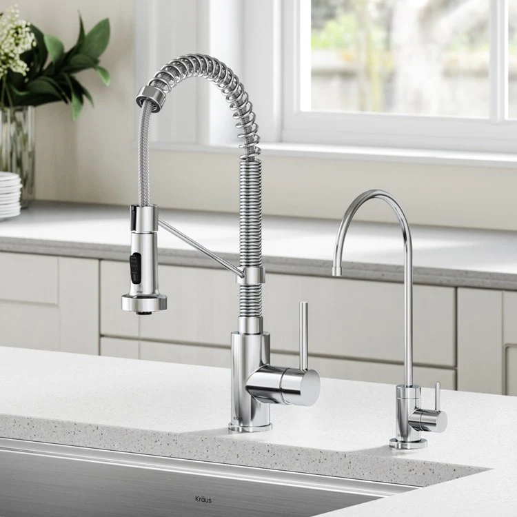 Bolden Commercial-Style Pull Down Kitchen Faucet and Purita Water Filter Faucet Combo - Frankwebs
