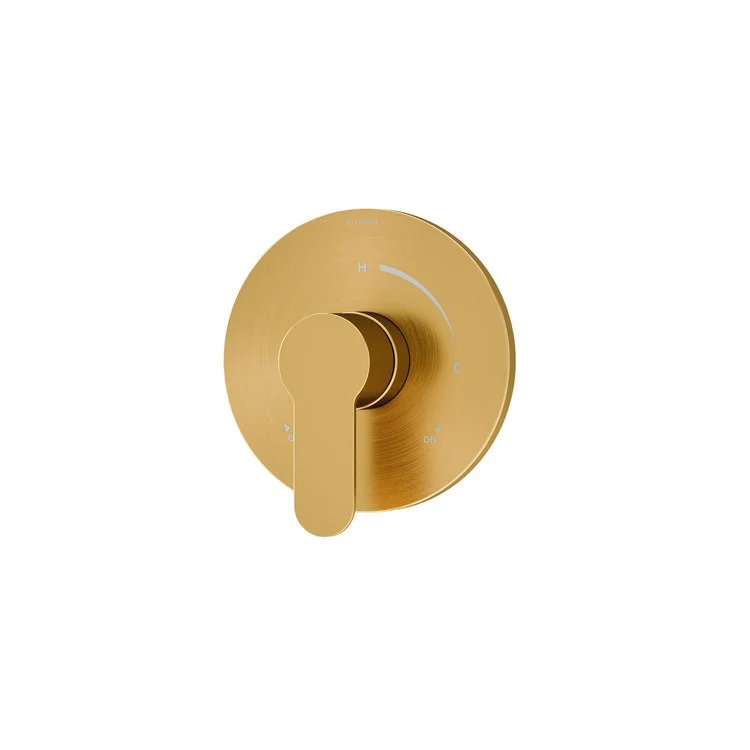 Shower Valve Trim Identity 1 Lever Polished Chrome ADA for 261/262 Series Temptrol Shower Valve - Frankwebs