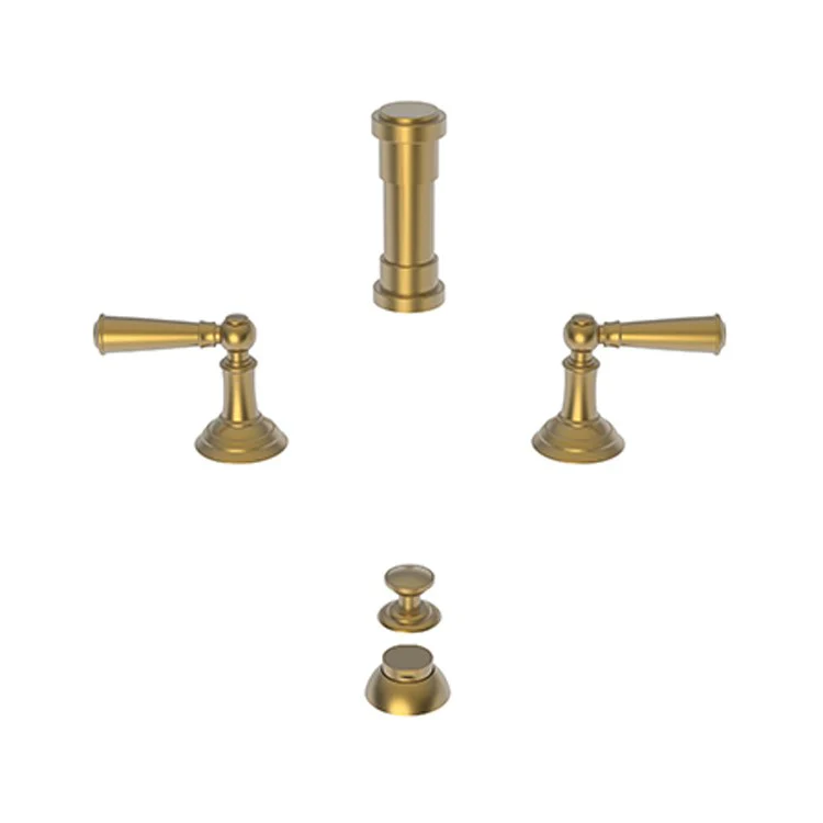 Bidet Faucet Aylesbury 8 to 16 Inch Spread 2 Lever ADA Satin Brass PVD - Frankwebs