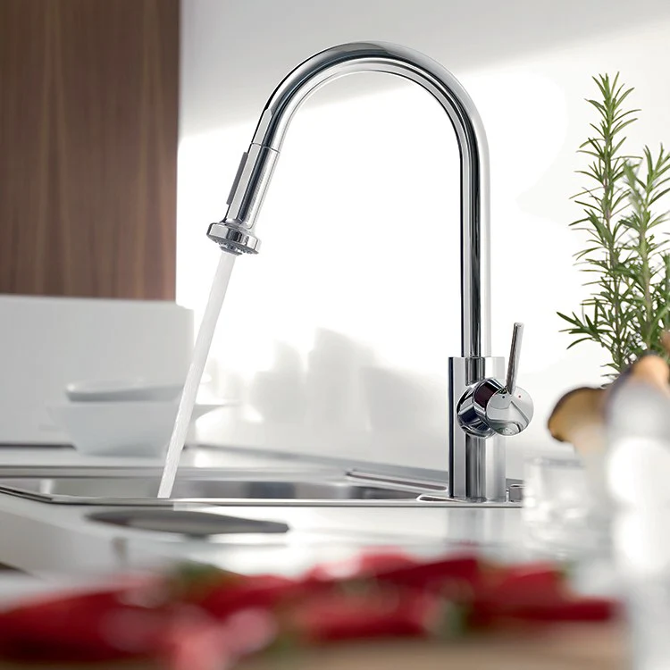 Talis S High-Arc Single Handle Pull Down Kitchen Faucet - Frankwebs