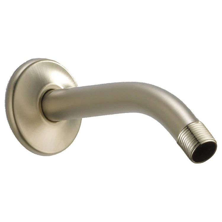 Replacement Shower Arm and Flange - Frankwebs