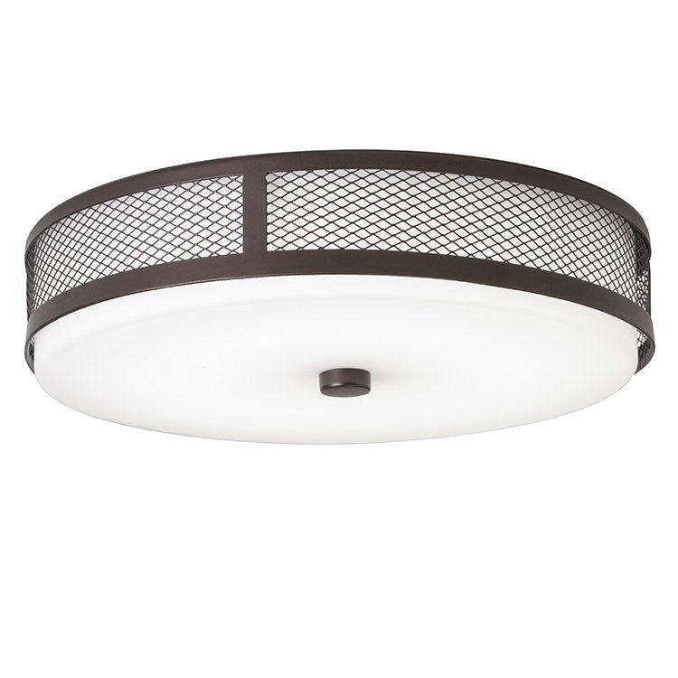 Ceiling Space Single-Light LED Flush Mount Ceiling Fixture - Frankwebs