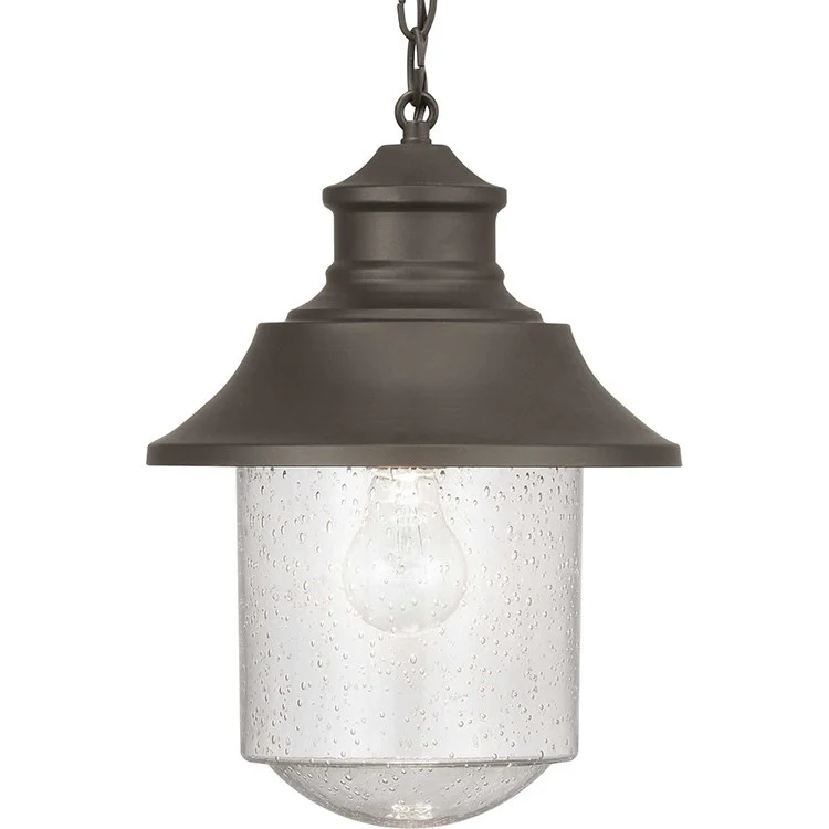 Weldon Single-Light Outdoor Hanging Lantern - Frankwebs