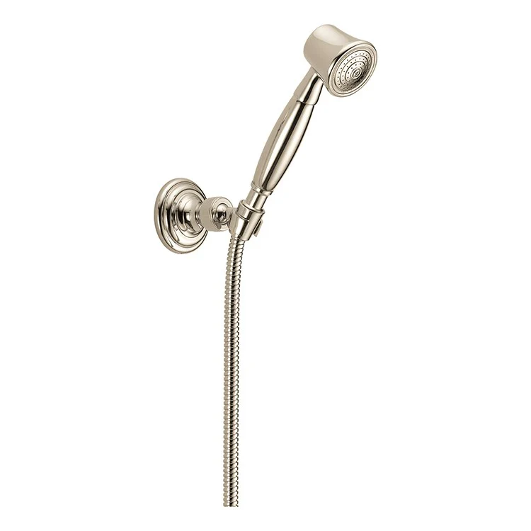 Vesi Wall-Mount Single-Function Handshower with Hose - Frankwebs