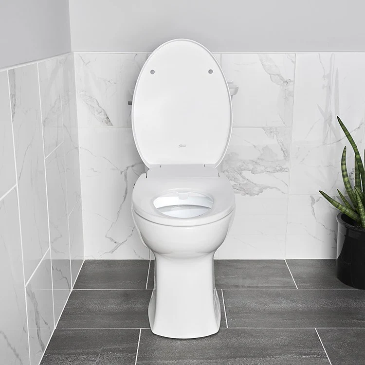 Aquawash 2.0 Manual SpaLet Bidet Seat - Frankwebs