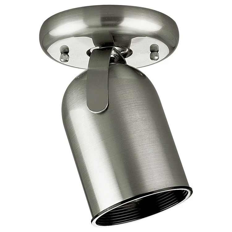 Directional Single-Light Round Back Wall/Ceiling Light - Frankwebs